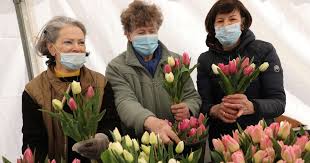 Avec le lions club de bourg en bresse brou. Dordogne 70 000 Tulipes En Vente Pour Lutter Contre Le Cancer