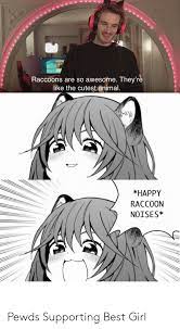 25 Best Memes About Raccoon Noises Raccoon Noises Memes