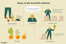 Asking Testable Questions - Let'S Talk Science