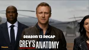 Maratonul dedicat productiei debuteaza de la ora 10:00. Grey S Anatomy Season 13 Recap Youtube