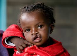 Reaching more people, in more places: our year's achievements