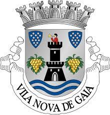 Vila nova futebol clube is a brazilian football team from goiânia in goiás, founded on july 29, 1943. Vila Nova De Gaia Wikipedia