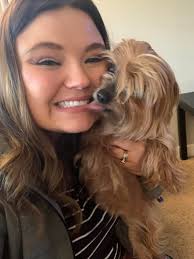 Lost this little cutey late Saturday night early Sunday morning by Red Roof  Inn at 222 Byers Rd. She is super friendly. Answers to “Dash”. She is  female only 2-3 years old.