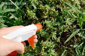 You can also squeeze the sponges against individual leaves to get the product on the leaf surface. Easy Homemade Weed Killer With Secret Ingredient