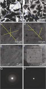 Graphene Enclosure Of Chemically Fixed Mammalian Cells For Liquid Phase Electron Microscopy Protocol Translated To Dutch