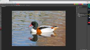 A place for learning and sharing. How To Edit Photos Online With Photopea Techradar