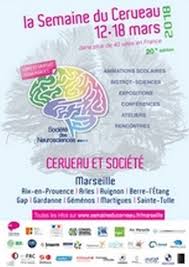 Semaine du cerveau27/04/2021 @ 7:09. Dans Le Cadre Du Cycle La Semaine Du Cerveau Comment Les Stereotypes Empechent Notre Cerveau De Fonctionner Echosciences Provence Alpes Cote D Azur