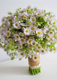 Today We Are Talking About A Beautiful Little Flower That When It Blooms Let S Us Know The End Of Fall Wedding Flowers Diy Wedding Flowers Flower Arrangements