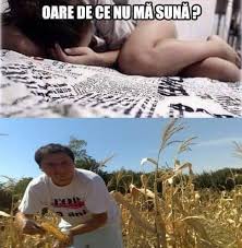 Adrian minune, adi de vito, adi minune, indragostrit, femeie rea, bani la lautrari, lautari, nunta, bani, euro. Meme Ul Zilei Home Facebook