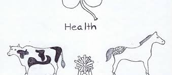 ST. CLAIR COUNTY 4-H & YOUTH FAIR July 20 – 25, 2020