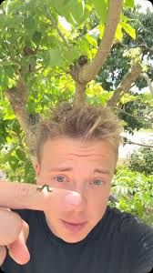 From pest to plate 🍽️