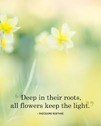 22 Wonderful Quotes About Spring Beautiful Flower Quotes Wonder Quotes Spring Quotes