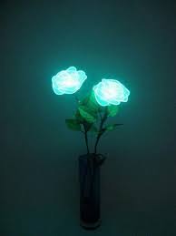 Pin Oleh Keshav Kks Di Flowers Hijau Bunga Wallpaper Ponsel Mint pastel green mint green aesthetic mint aesthetic mint green wallpaper.