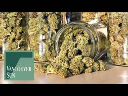 Study shows no increase in car crash injuries from cannabis legalization