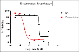 Image result for Sorindeia juglandifolia