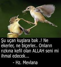 Sibel Sibel Adli Kullanicinin 1 Panosundaki Pin Dualar Allah Instagram
