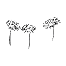 Overlays Tumblr Daisy Tattoo Daisy Drawing Overlays Tumblr