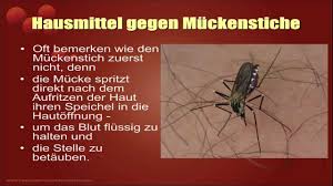 Hausmittel Gegen Muckenstiche Muckenstiche Naturlich Behandeln Youtube