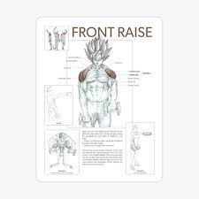 Learn new skills in drawing, modeling, conceptual art, game development, and more. Bodybuilding Anatomy Chart Muscle Diagram Anime Photographic Print By Iamsuperultra Redbubble