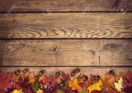 So my pruning may be later this year, but i always do it by july 15 to allow for any new. Dorcev 12x10ft Rustic Wood Board Backdrop Brown Wooden Texture Floor Wall Maple Leaves Photography Background Autumn Thanksgiving Party Family Portraits Photo Shoot Studio Props Accessories Supplies Electronics Wieliczkapark Pl