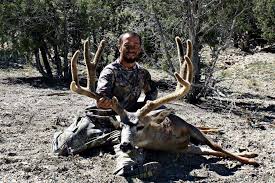 2021 Limited Entry Mule Deer Utah United States Bookyourhunt Com