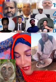 ኣግኣዝያናውያን #ሓማሴን♥️🦁 #eritreantiktok #eritreantiktok🇪🇷🇪🇷habesha #ሃ...