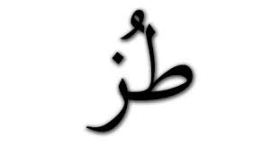 ما هو معنى كلمة طز جنوبية