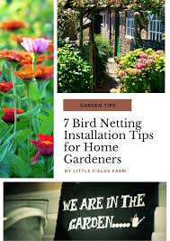 Bird Netting For Garden Uk Are You A Garden Enthusiast Who Wants To Deter Birds To Protect Plants And Fruits Growing In Your Garden If Yes Then Yo In 2020 Garden Bird Netting Garden Essentials