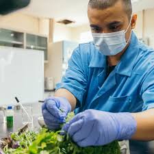 When you think of dyson, depending on your locale, vacuum cleaners today we examine 10 of his inventions, so be sure to vote and let mr. Invention That Makes Renewable Energy From Rotting Veg Wins James Dyson Prize James Dyson The Guardian