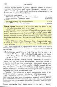 Image result for Scleria foliosa