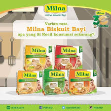 Selain bubur bayi, bunda juga boleh memberikan biskuit bayi milna untuk dijadikan makanan selingan yang sangat berguna untuk meningkatkan gizi serta dapat menstimulasi pertumbuhan gigi. Harga Biskuit Bayi Terbaru Juli 2021 Biggo Indonesia