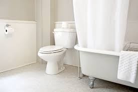 Some parts of the toilet seat especially. The Ultimate Guide To Cleaning A Toilet Martha Stewart