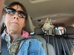 Stoli really thinks this is a new cool place to chill! Maybe he will figure  out his big 56pd self can't roll over!!