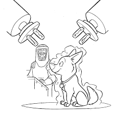 Each bolt assembly is high pressure tested and magnetic particle inspection tested to ensure it's free from imperfections that can lead to premature failures. Bolt Coloring Pages To Print Coloring Home