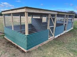 Reban ayam untuk disewa di terengganu. Ayam Kampung Kacuk Kedah Posts Facebook