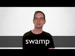 Swamp Definition And Meaning Collins English Dictionary