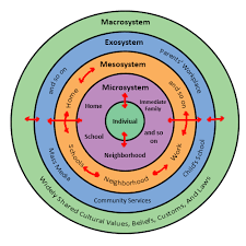 A Simple Diagram To Explain The Relationship Between The Microsystem Mesosystem Exosystem And Mac Ecological Systems Theory Systems Theory Ecological Systems