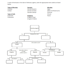 solved in each of the boxes in the chart of infectious ag