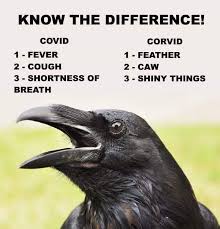 Crow Fisher Home Facebook