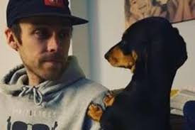 20 of the best and most loveable dog breeds to own as a pet in Lancashire  according to readers