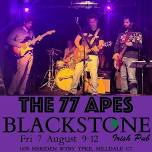 The 77 Apes Live at Blackstone Irish Pub