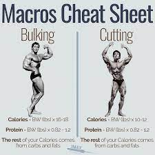 Pin On Muscle Building Fast Get Effective Supplement