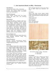 Apa yang ada di pikiran anda ketika mendengar nama 'murtabah'? Atlas Kayu Indonesia Jilid Iv Risalah1 Pdf
