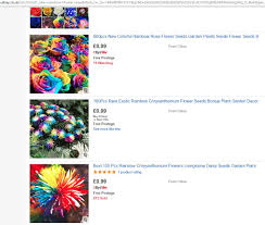 With so many themes and types of garden ornaments available it is easy to create an entirely bespoke looking outdoor area for you to enjoy. The Fake Chinese Rainbow Seeds Fooling Gardeners But Paying Google Ebay Grow Like Grandad