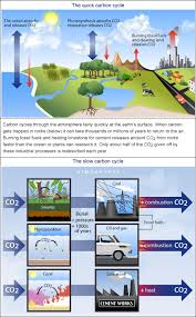 the movement of carbon around earth's