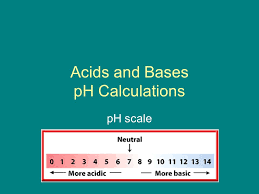 Pour a dash of your cabbage juice into each jar/vial. Acids And Bases Ph Calculations Ppt Download