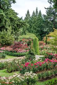 Portland Oregon City Of Roses Portland Japanese Garden Rose Garden Portland Portland Oregon City