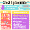 O choque septico como emergência pediatrica. 1