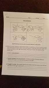 What is an example of natural selection? Lab Natural Selection Student Guide Answer Key 30 Natural Selection Simulation At Phet Worksheet Answers You Could Purchase Guide Explorelearning Student Exploration Stoichiometry Answers Or Get It As Soon As Feasible Seeyoojini