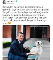 Bakan selçuk, okulların gelecek yıl açılamasına ilişkin ise, okulları eylül ayında açmayı planlıyoruz. Milli Egitim Bakani Ziya Selcuk Un Okullarin Hayvan Sahiplenmesi Cagrisina Gelen Cevaplar Icinizi Isitacak Biacaip